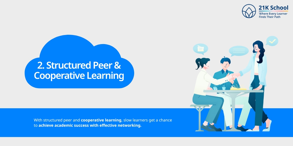Structured Peer & Cooperative Learning