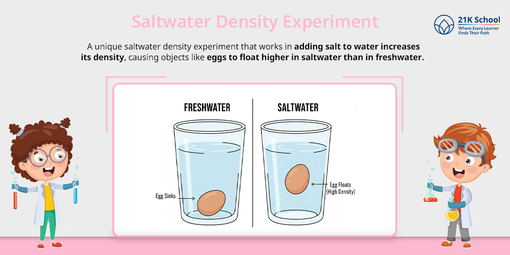  Saltwater Density Experiment