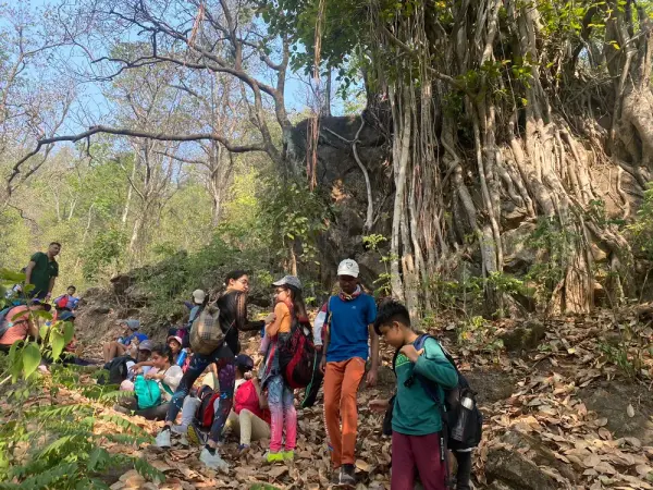 Learners on a guided walk among the trees in a forest