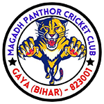 Career In Cricket logo