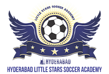 Little Stars Soccer Academy logo