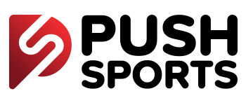 Push Cricket Academy logo