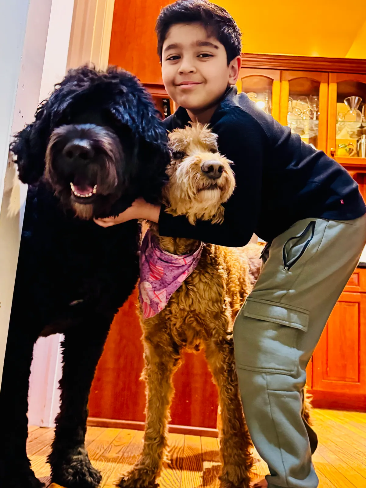 A smiling learner hugging his two big dogs at home