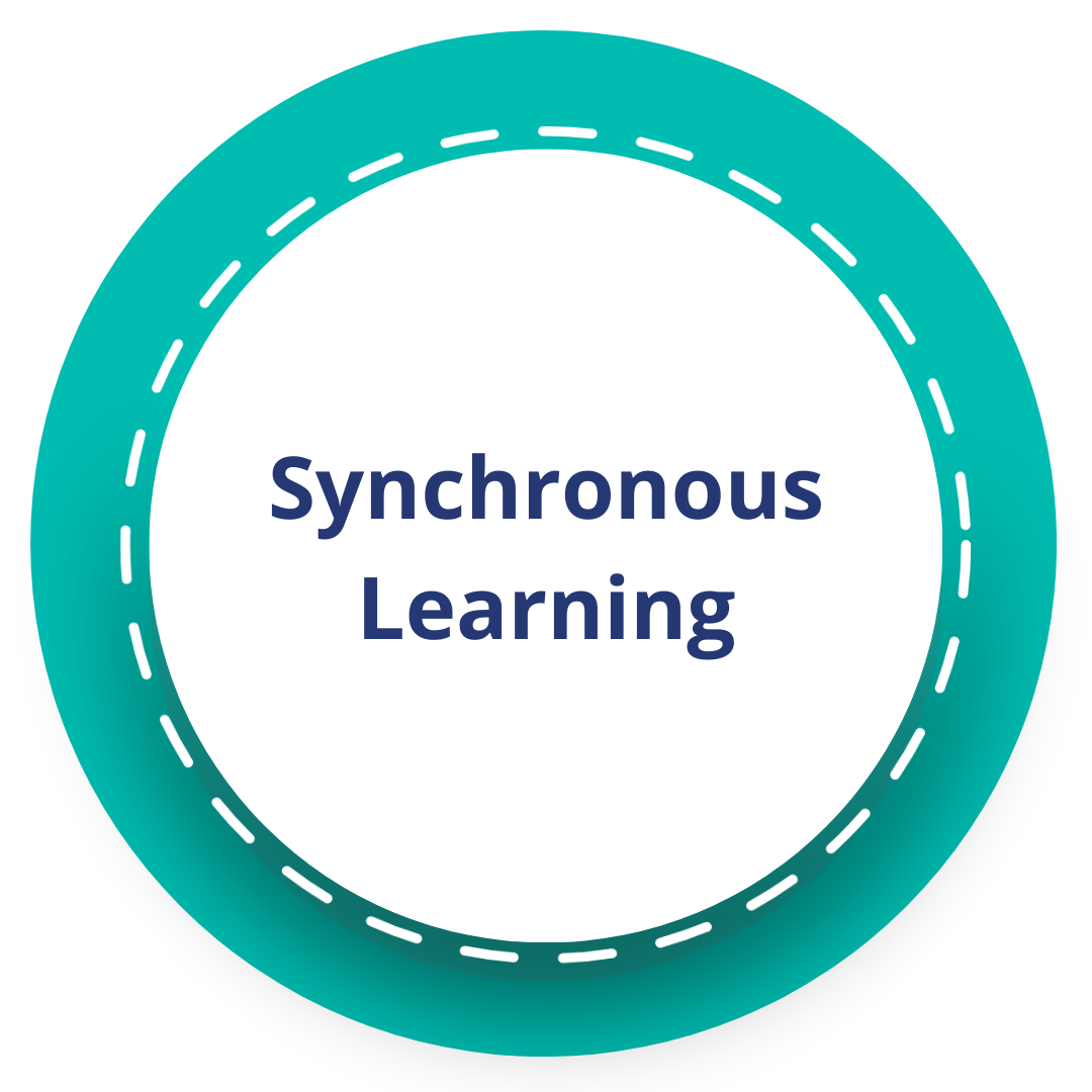 Online Education 