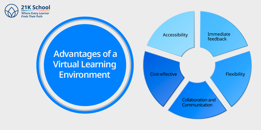 Advantages of a Virtual Learning Environment