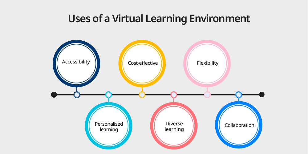 Uses of a Virtual Learning Environment