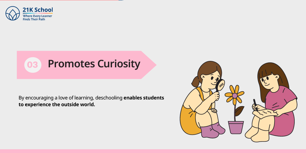 Promotes Curiosity