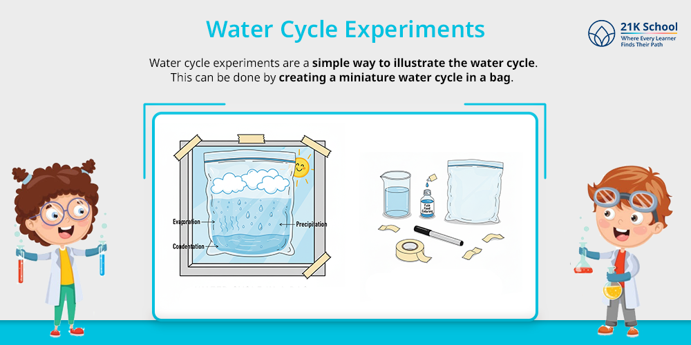 Water cycle experiments