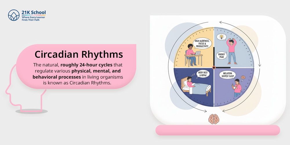 Circadian Rhythms